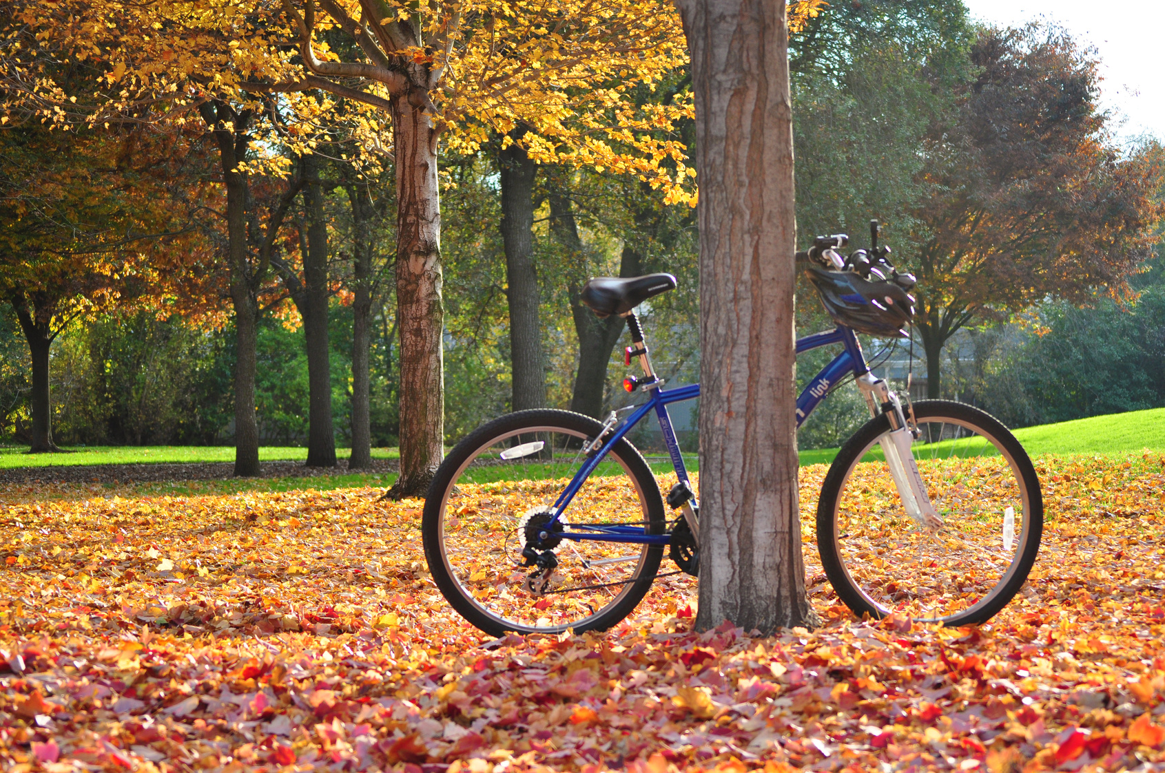 rower jesienią