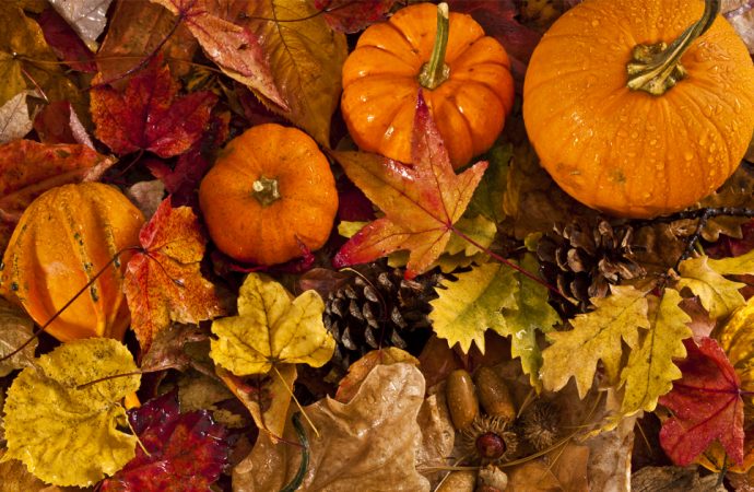 Dary jesieni, których nie można przegapić