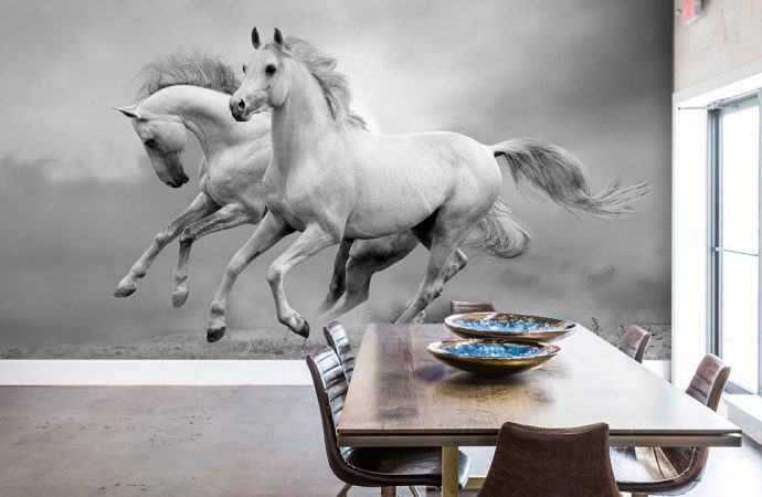 Fototapeta z koniem – 5 powodów, dla których warto ją mieć