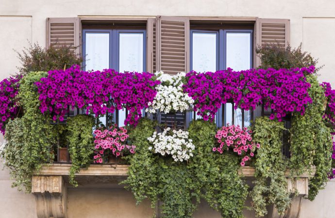 Meble i rośliny na balkon – jakie wybrać?