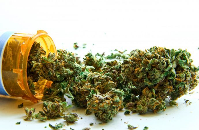 Zaskakująca decyzja rządu – lecznicza marihuana doczeka się legalizacji