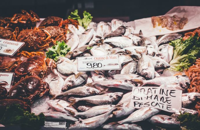 Jak wybrać najlepszej jakości ryby?