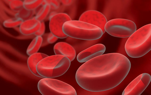 Płytki krwi – co trzeba o nich wiedzieć?