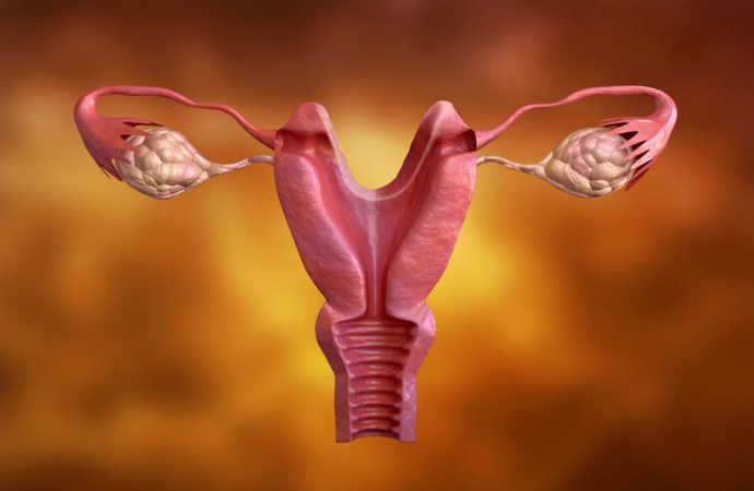 Rak endometrium – kto jest narażony, jak go leczyć?