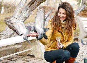 Jak i czym karmić ptaki w mieście? Karmienie ptaków w ogrodzie i na balkonie
